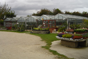 Station Garden Nurseries