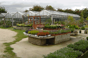 Station Garden Nurseries